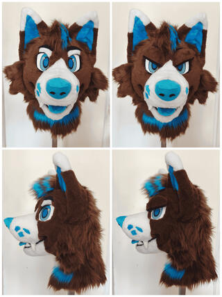 Wolfdog Wolfdog