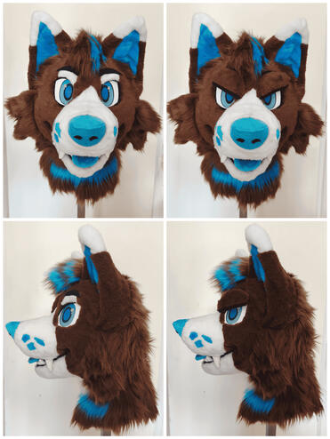 Wolfdog Wolfdog